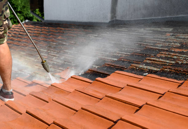 Best Pressure Washing Near Me  in Heyworth, IL