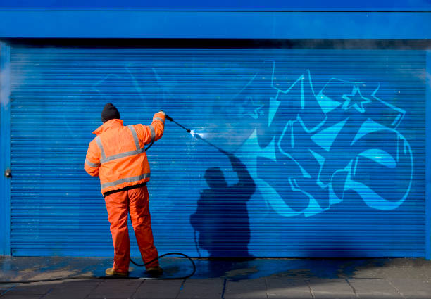 Best Affordable Pressure Washing  in Heyworth, IL